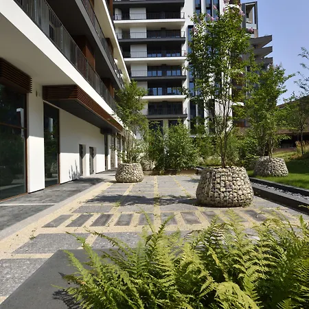 Verticale | Esperienze